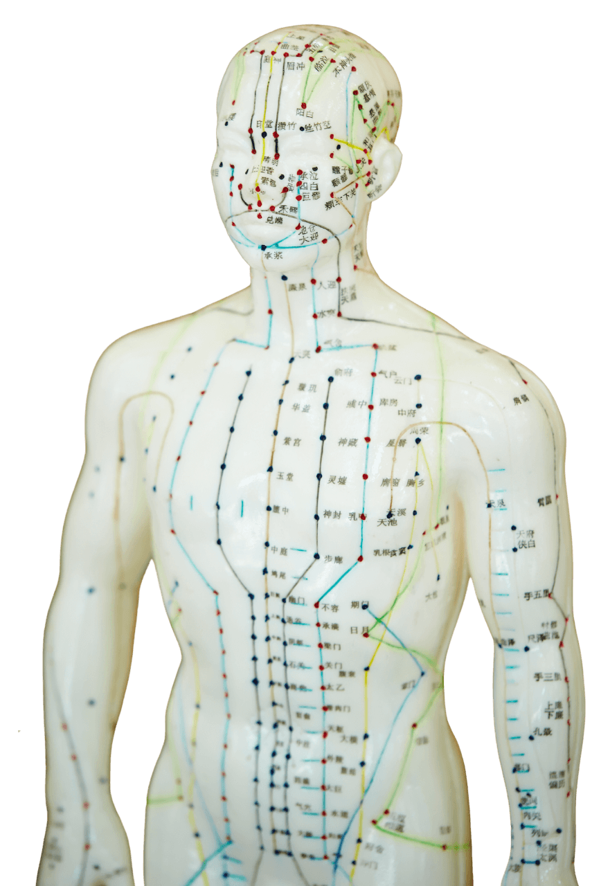 Electroacupuncture meridian chart depicting points on the human body